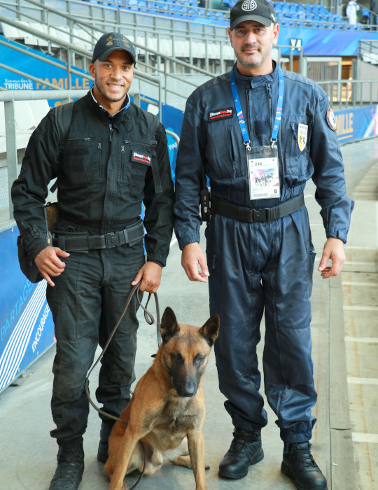 formation agent sécurité, maitre chien